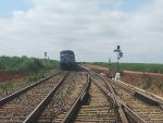 RUMO 9812